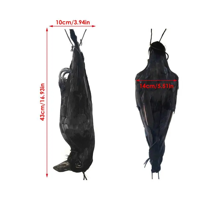 Extra Large Fake Bird Decor Hanging Pest Deterrent Dead Crow Decoy Black