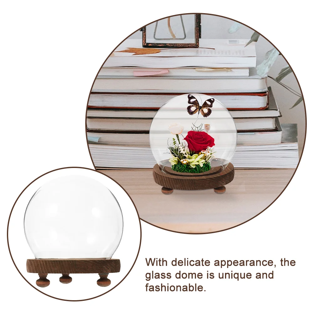 Decorate Spherical Glass Cover Table Top Display Case Wood Preserved Flower Covers