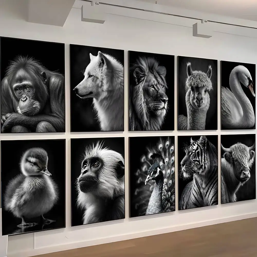 Black and White Wild Animals   Posters High Quality Self-adhesive Wall Art Decorations Color Prints Sticky