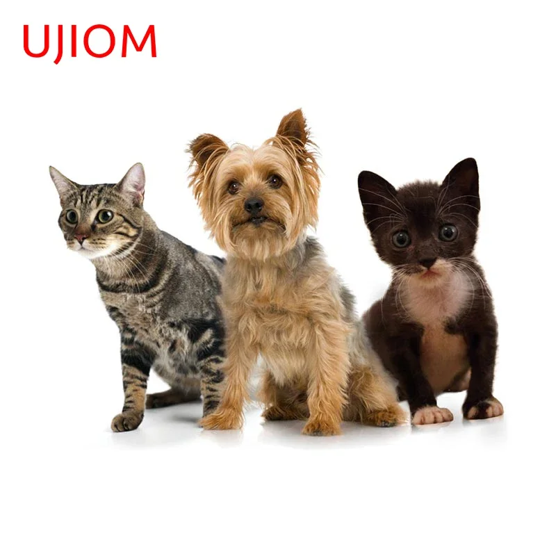 UJIOM Lovely Dog And Cat Wall Stickers Personality Living Room Vinyl Decals Waterproof Sunscreen Windshield House Stickers