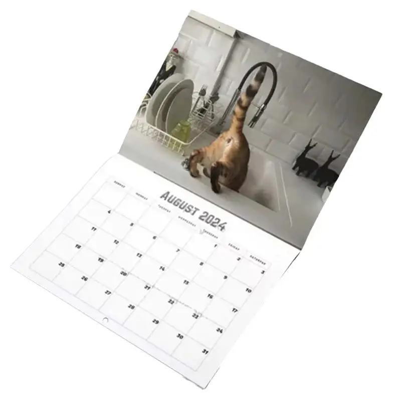 

Funny Cat Calendar 2024 2024 Monthly Wall Calendar Thick Sturdy Paper Kitten Calendar Whimsical And Fun Cat Pictures Calenda