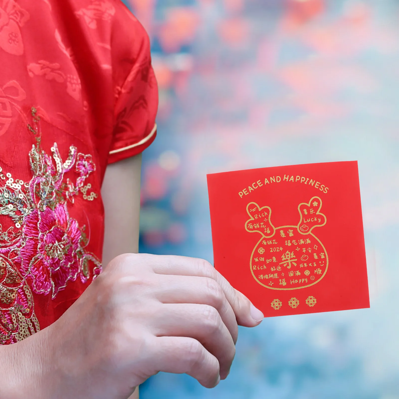 

Year of The Dragon Red Envelope Traditional Packet Chinese New Packets Money Pouches for Envelopes Spring Festival Gift