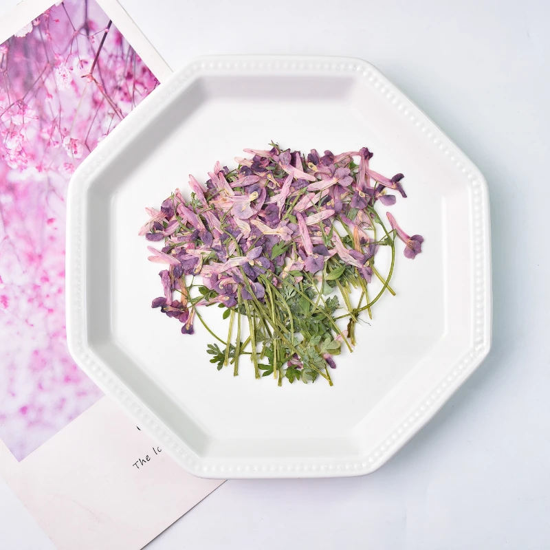 6-8cm/12pcs,Nature mini flower branches,pressed flower DIY wedding invitation adhesive drop phone case Photo frame bookmark card