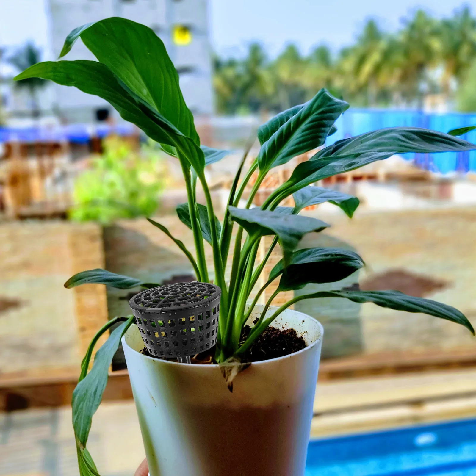 10Pcs Plastic Fertilizer Mesh Basket Gardening Accessory for Orchid Spikes Bonsai Manure Fertilizer Storage Plant Care Tool