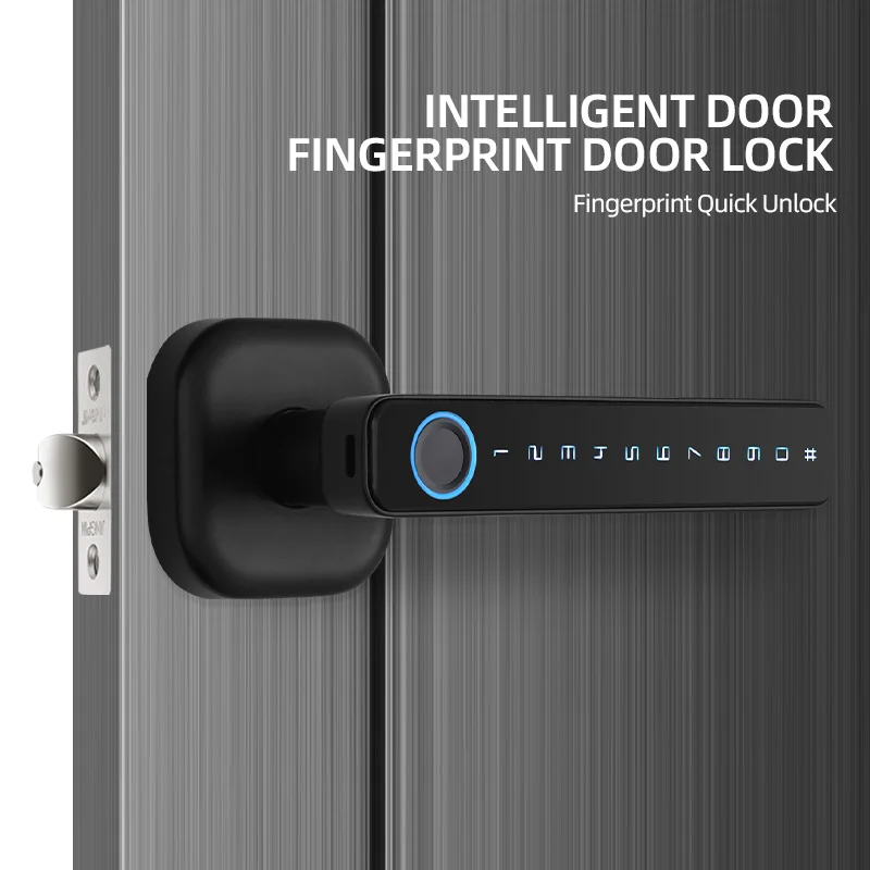 Export Hot Selling Wholesale Price Mobile Phone Tuya BLE/wifi APP Spherical Handle Fingerprint Password Intelligent Door Lock
