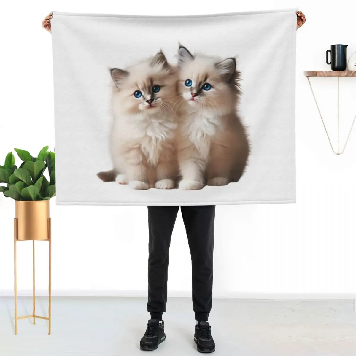 Ragdoll Kittens Throw Blanket Machine Washable Soft Warm Blanket