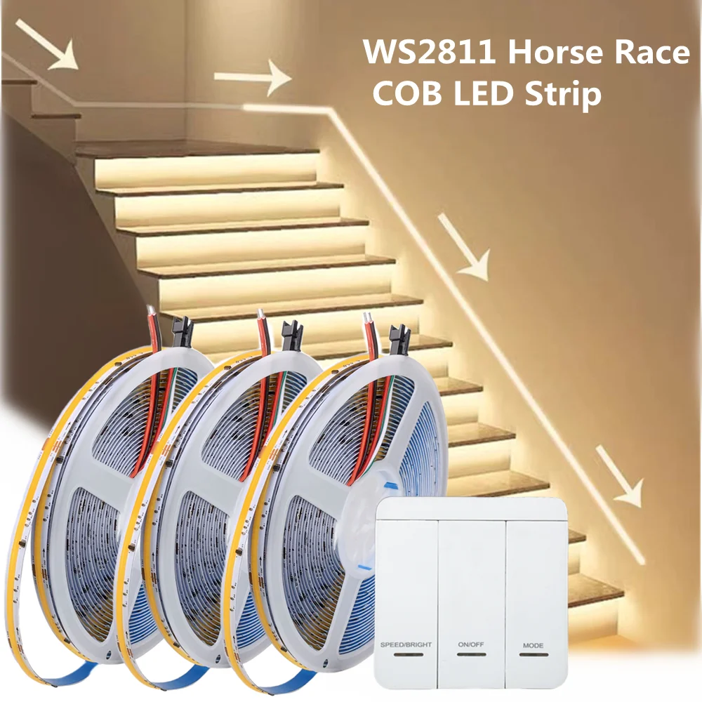 

WS2811 Running Water Flowing COB LED Strip Light 24V Horse Race Sequential LED Ribbon With Button Panel Controller 40M Full Set