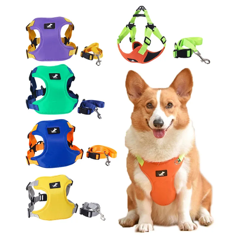 

Dog Harness Vest With Running Waist Leash Puppy Cat Walking Chest Straps for Small Medium Dogs Chihuahua French Bulldog Supplies