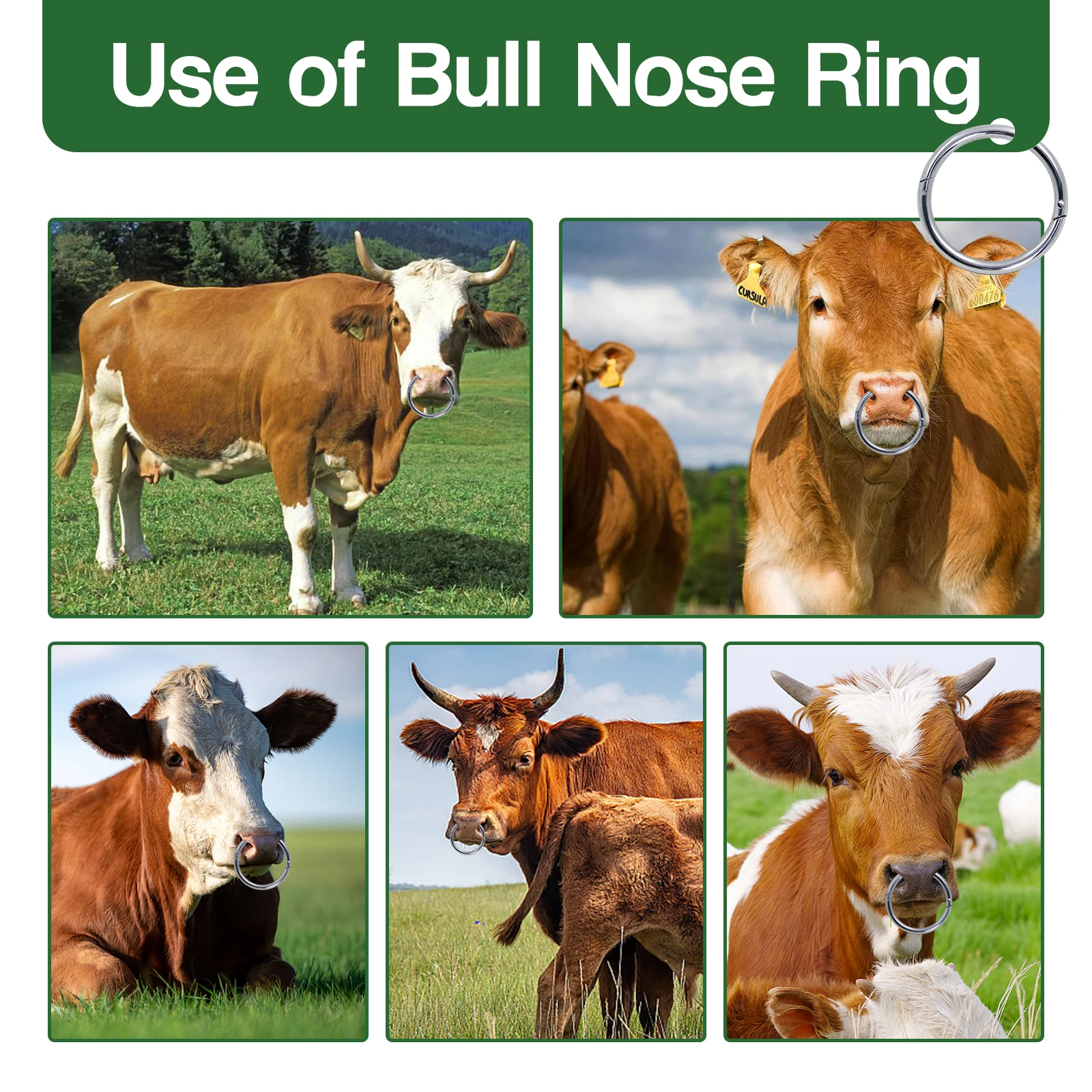 1Pcs Metal Cattle Nose Rings Bull Ox Cow Bovine Traction Clamp Farm Animal Livestock Nose Clips Farm Animal Supplies 8.6/10.2cm