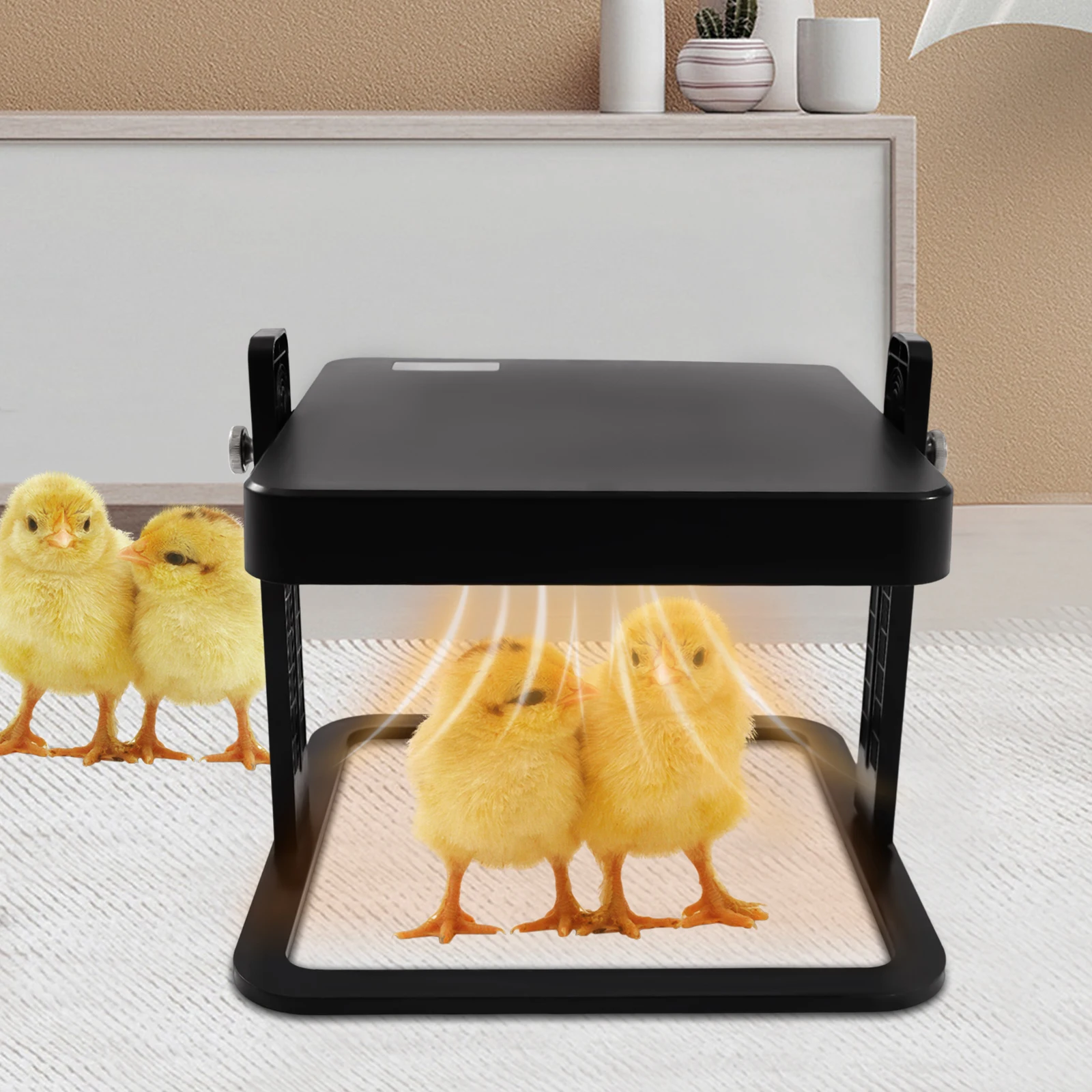 15 Chick Brooder/Heat Plate - Thermostatic with Adjustable Height for Chicks Ducklings Fledgling Quails