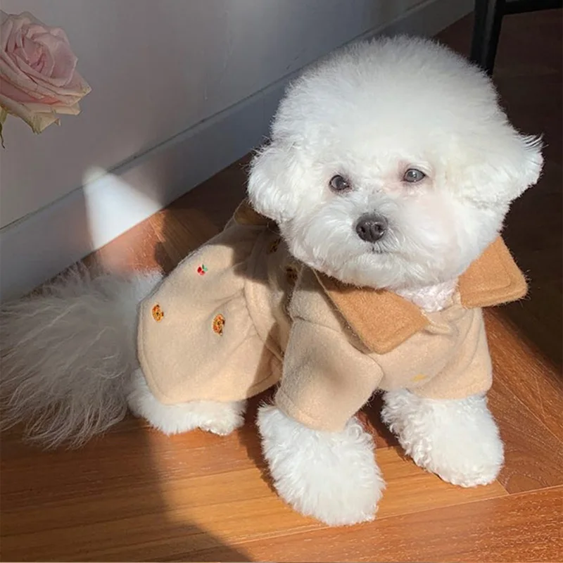 Autumn and Winter Dog Dress Teddy Comfortable Warm Skirt Puppy Two Legged Clothing Cute Little Bear Clothes XS-XL