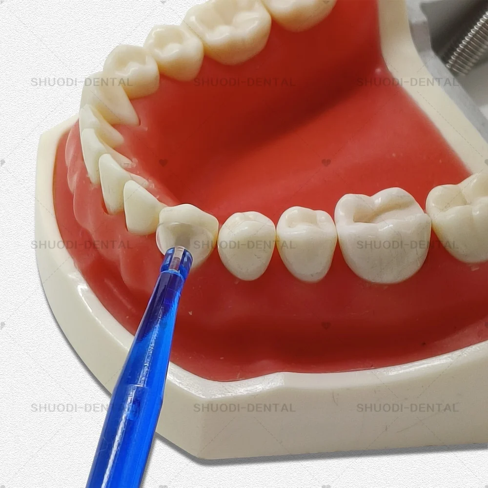 T Lab Transparent Cervical Matrices Flexibility Optimal Tooths Adaptations Non-Stick Design Matrix Thin Edges Control of Filling