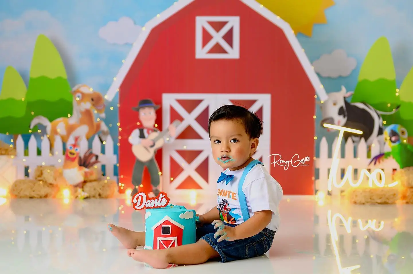 Farm Haystacks Backgrounds Cake Smash Kids Adult Photography Props Child Baby Decors Windmill Cabin Poultry Photo Backdrops