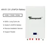 테웨이셀 48V 100Ah 200Ah 파워월 5KWh 10KWh 리튬인산철 배터리 팩 RS485 CAN 6000 사이클 내장 BMS 태양광 시스템 무관세 4