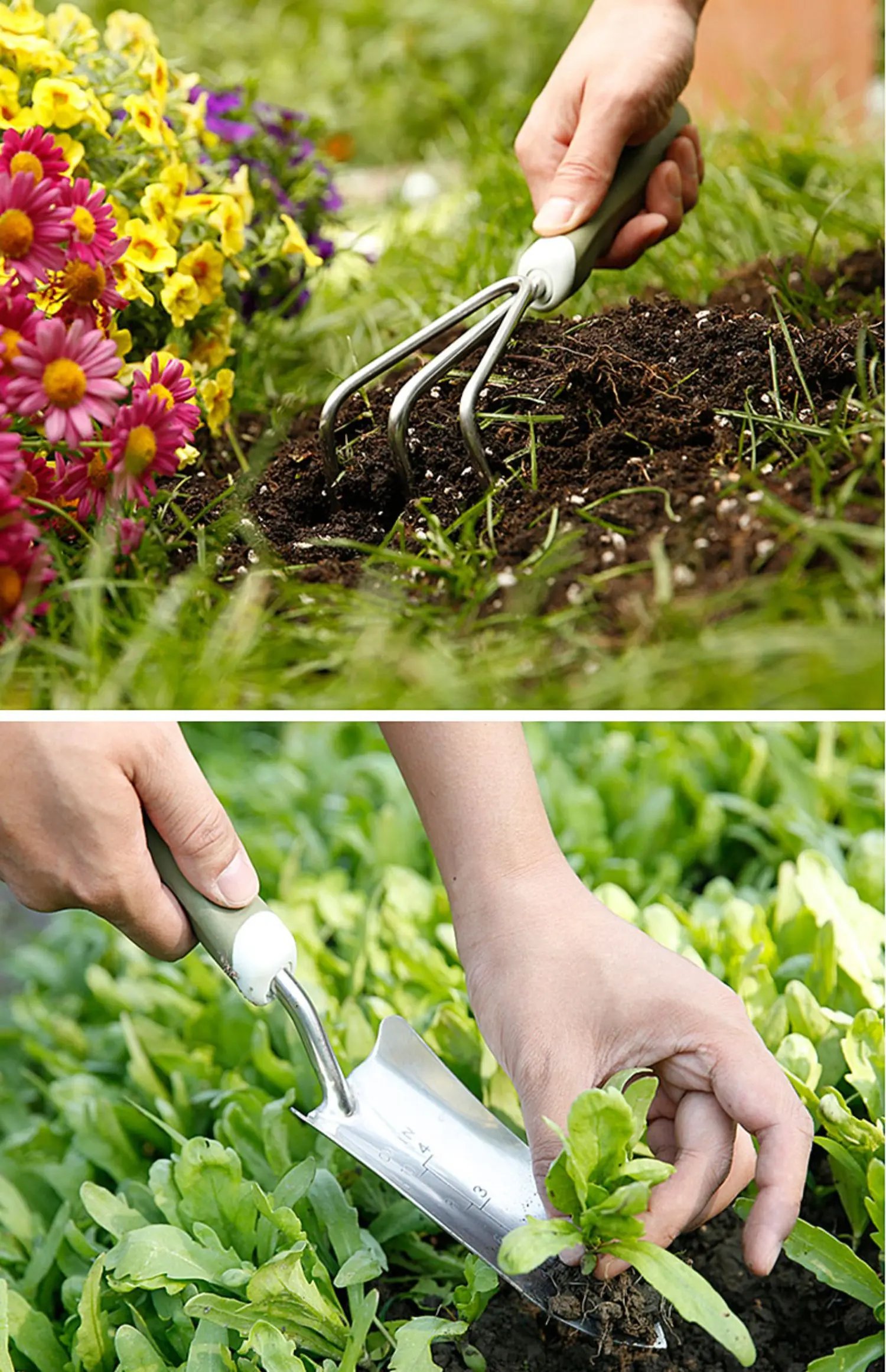 

Gardening Stainless steel shovel tool 3-piece set Household potted plant planting flower shovel growing vegetable digging shovel