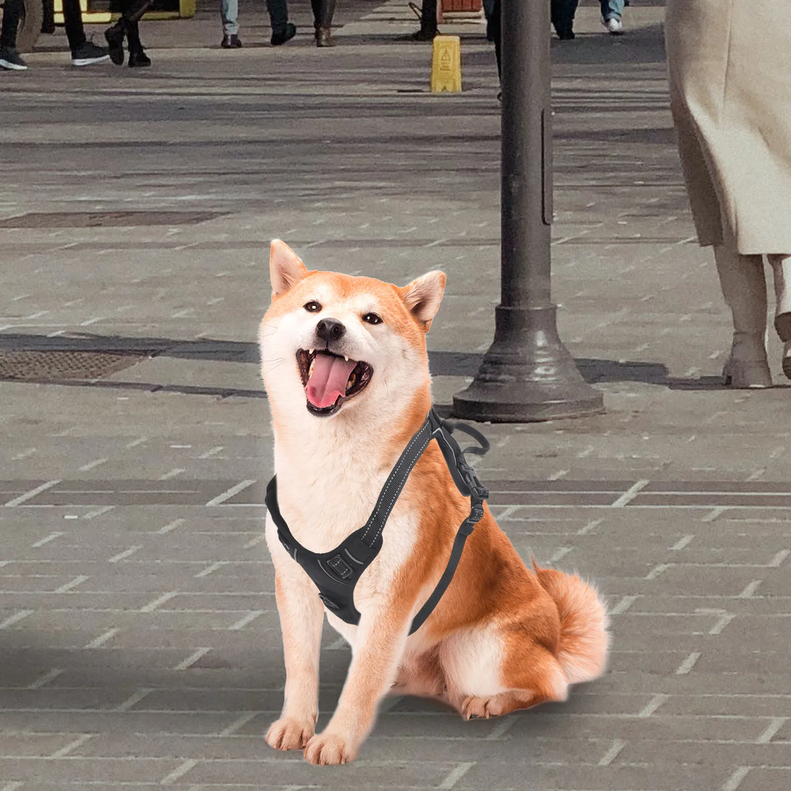 

Регулируемая спортивная шлейка для домашних животных размера L с креплением для экшн-камеры, нагрудный ремень, пояс для активного отдыха на природе