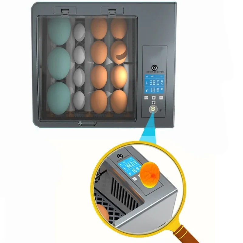 16 Eggs Incubator Auto Brooder Farm Chick Hatchery Machine Digital Egg Incubator Hatcher Goose Chicken Quail Farm Incubation