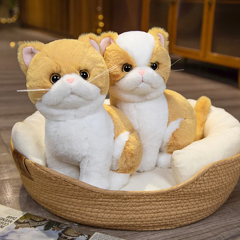 Jouet en peluche de chat de dessin animé réaliste pour les filles, jouet de beurre mignon, décoration d'intérieur, beaux chats, cadeaux de Noël, simulation, 26cm