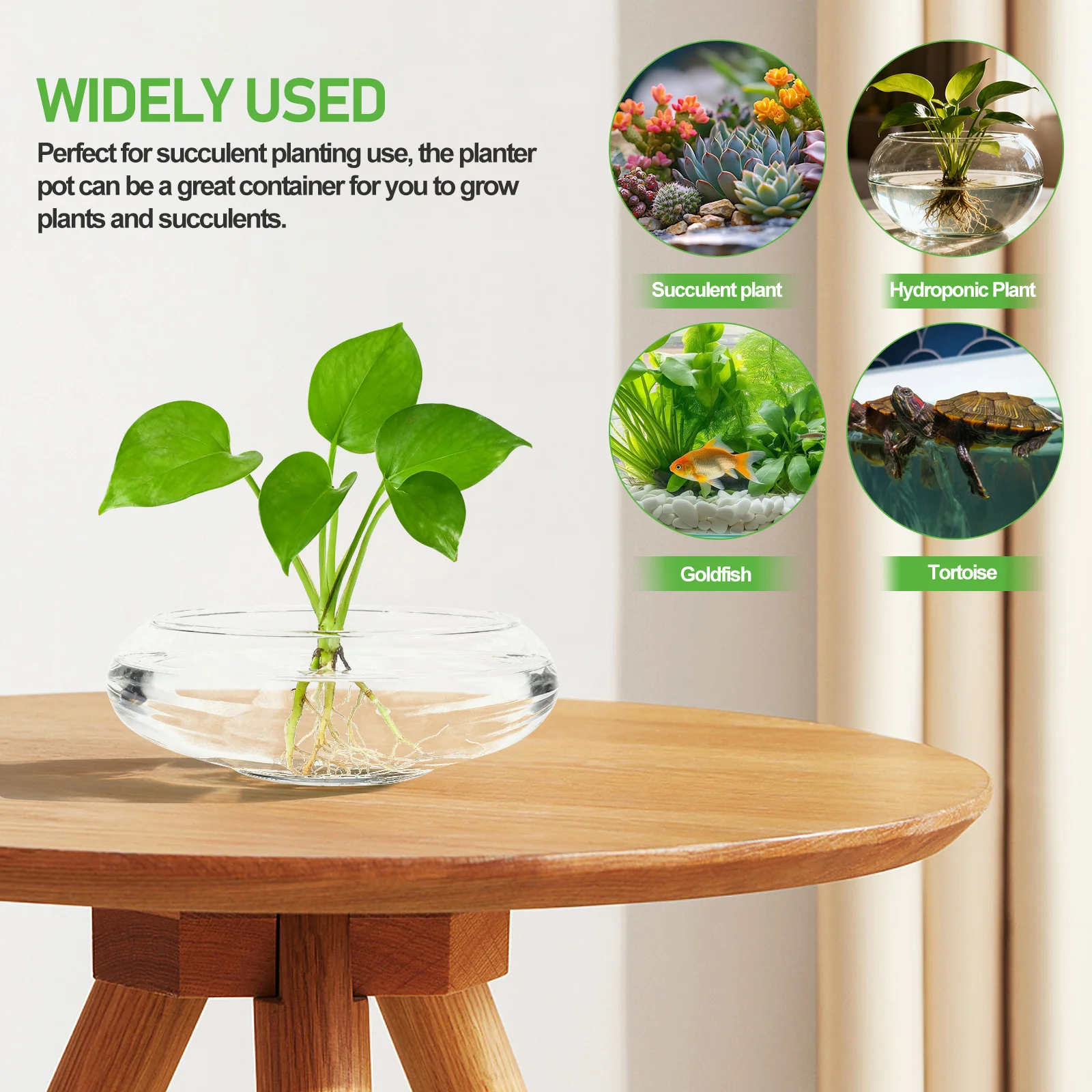 Glass Succulents Pot Clear Round Fish Bowl Hydroponic Flower Container Indoor Plants Decorative Fish Tank Succulent Planter