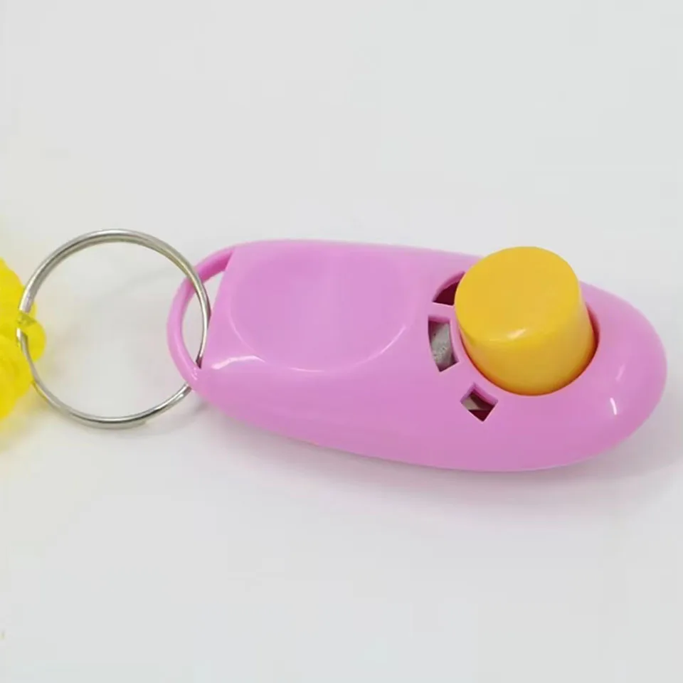 New Home Parrot Training Clicker Parrot Toy Training Educational Toys