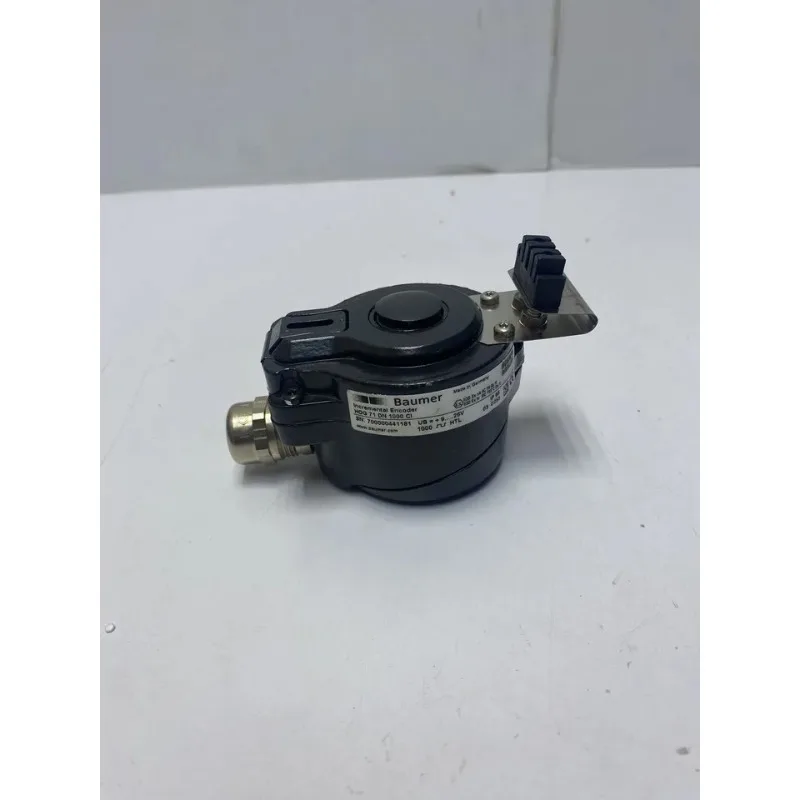 Wholesale Hog 71 Dn…