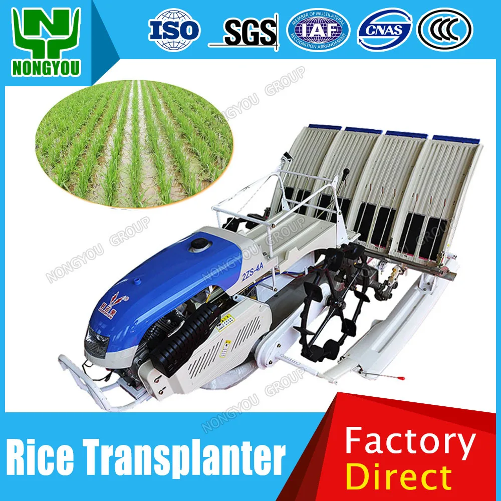 Rice Transplanter Factory Price Paddy Transplanter Paddy Planting Machine 2ZS-4A