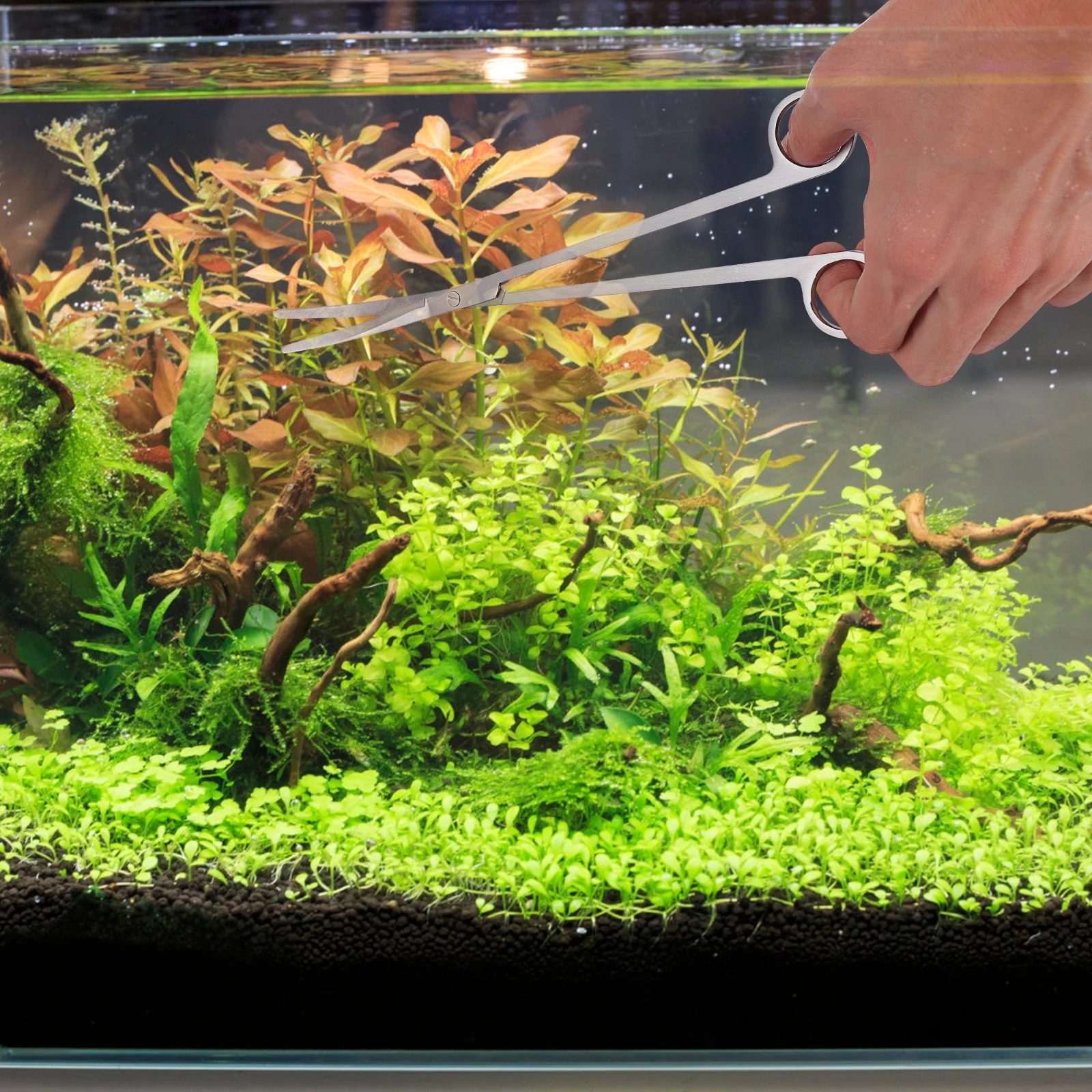 

Stainless Steel Aquarium Maintenance Tools Kit Water Plants Scissors Tweezers Spatula Fish Tank Trim Tool Substrate Gravel