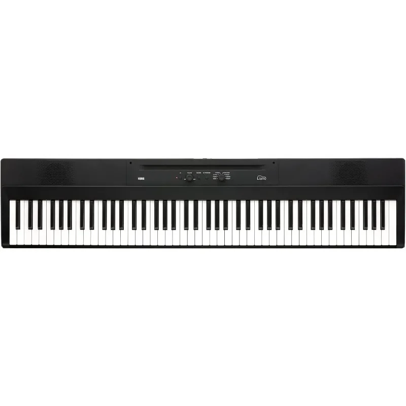 

88 Portable Digital Piano with Semi-Weighted Keys and Built-in Speakers, with Sustain Pedal, Music Stand, and Power Supply