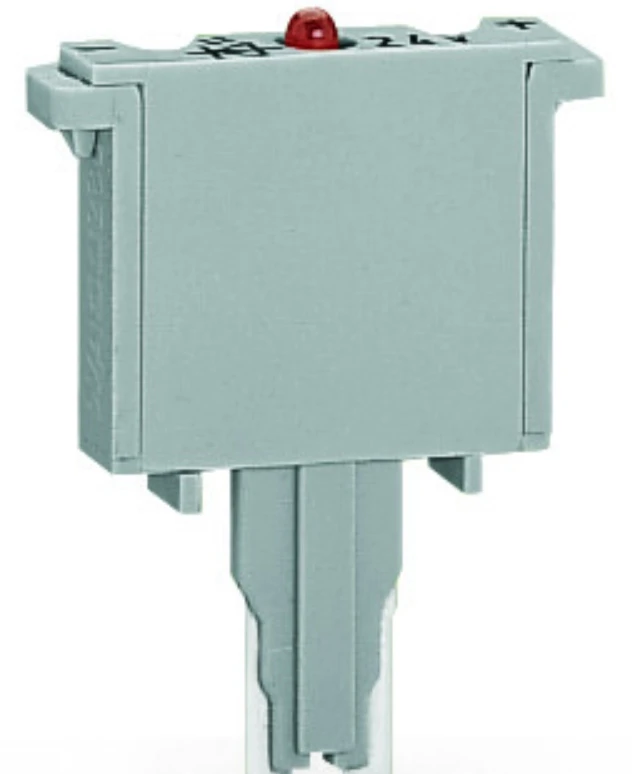 New Original Wa Go …