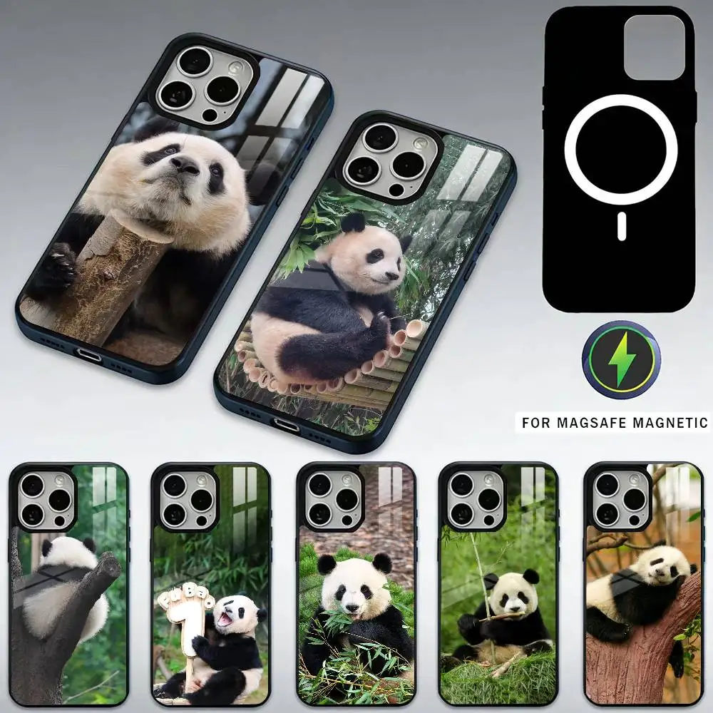 

fubao panda Phone Case For iPhone17,16,15,14,13,12,11 Plus,Pro Max Magnetic For Magsafe Wireless Charging