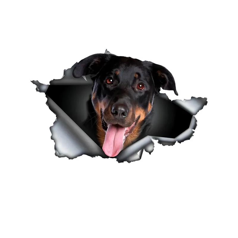 DK570# Beauceron Car Stickers Scratch Blocking Self-Adhesive Waterproof Decal, Used for Car, Laptop, Motorcycle, Van, RV