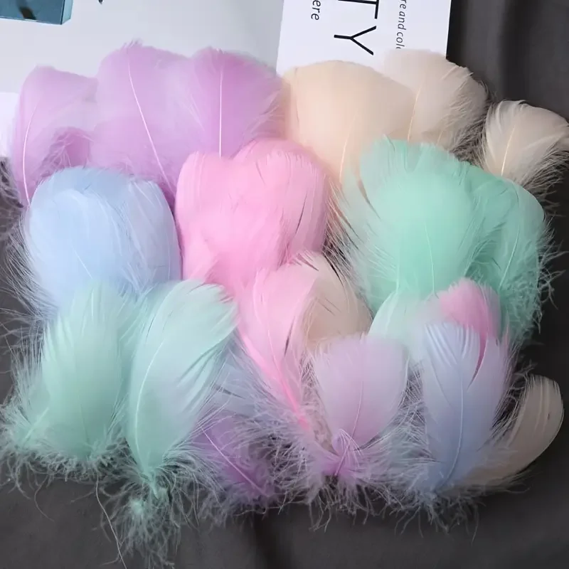 100-teiliges Macaron-Farben-Feder-Set für DIY-Handwerk, weiches dekoratives Zubehör für die Maskenherstellung, Traumfänger-Design, Weihnachtsgeschenke