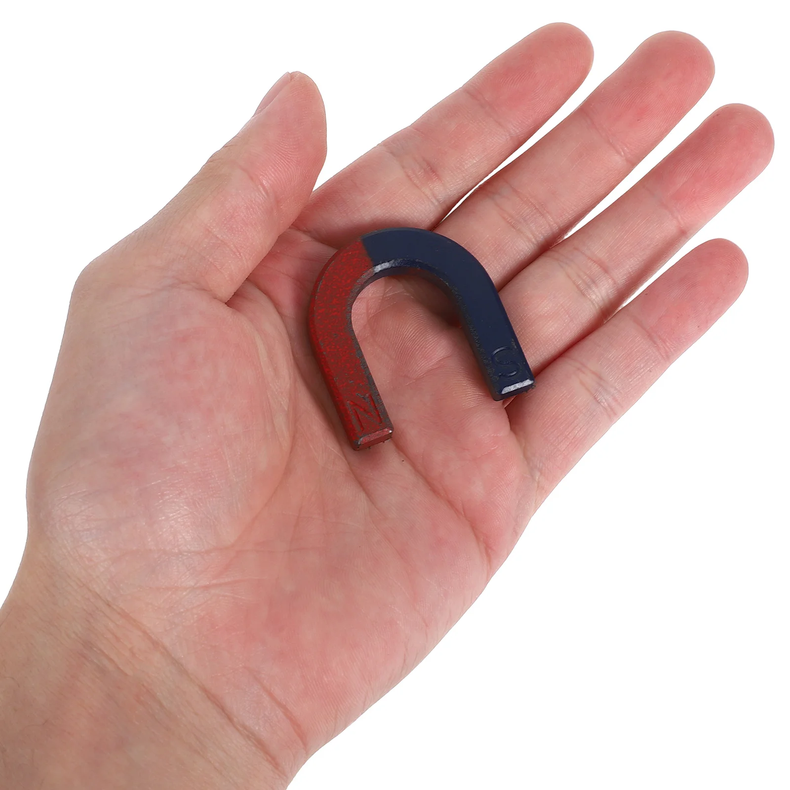 

Magnetic Instrument Iron Powder Filings for Science Experiments Portable Equipment Plastic Case