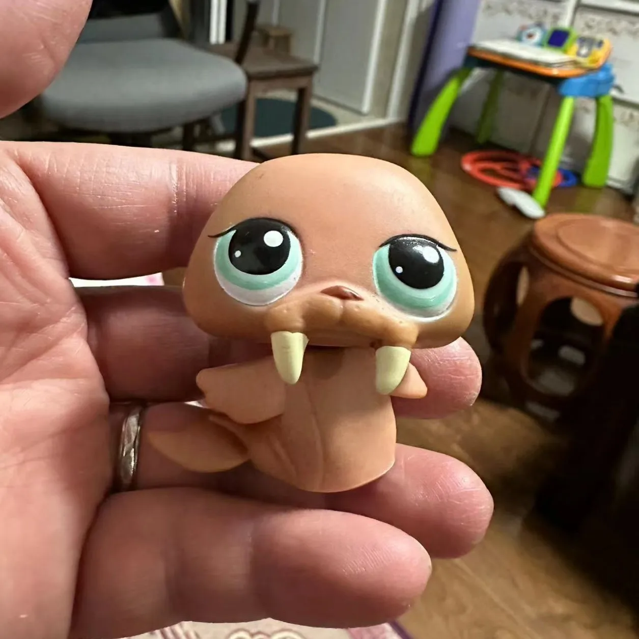 Hasbro Littlest Pet Shop Actionfigur Cartoon Tier Schildkröte Siegel Kaninchen Katze Niedliche Modelle Sammeln Sie Ornamente Kindergeburtstagsgeschenke