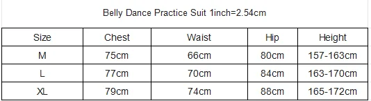 New Belly Dance Clothing Women's Sexy V-neck Short sleeved Top+Sexy Split Long Skirt 2pcs Oriental Dance Practice Clothes