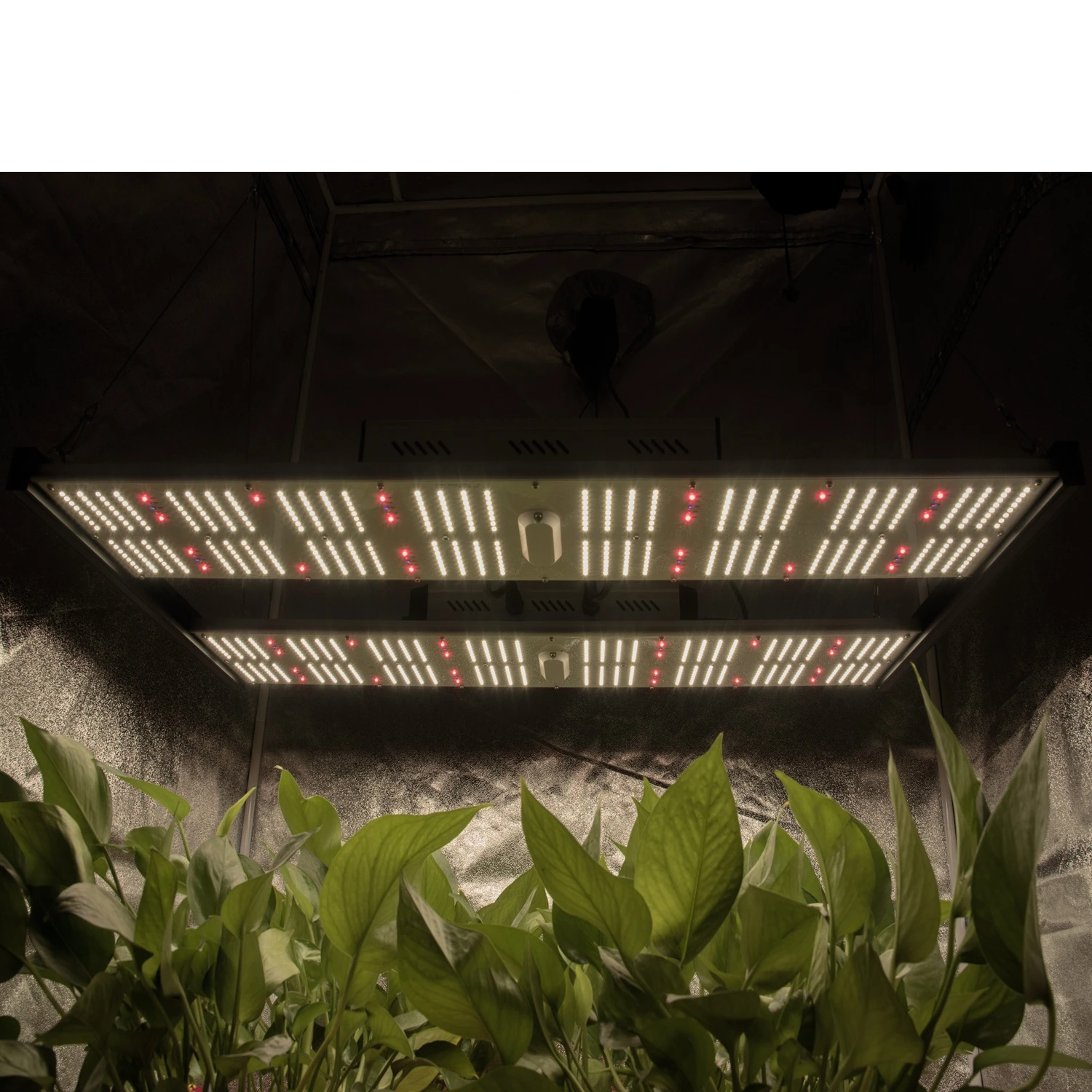 Led full spectrum grow light finish  monster board pro 480W indoor grow light