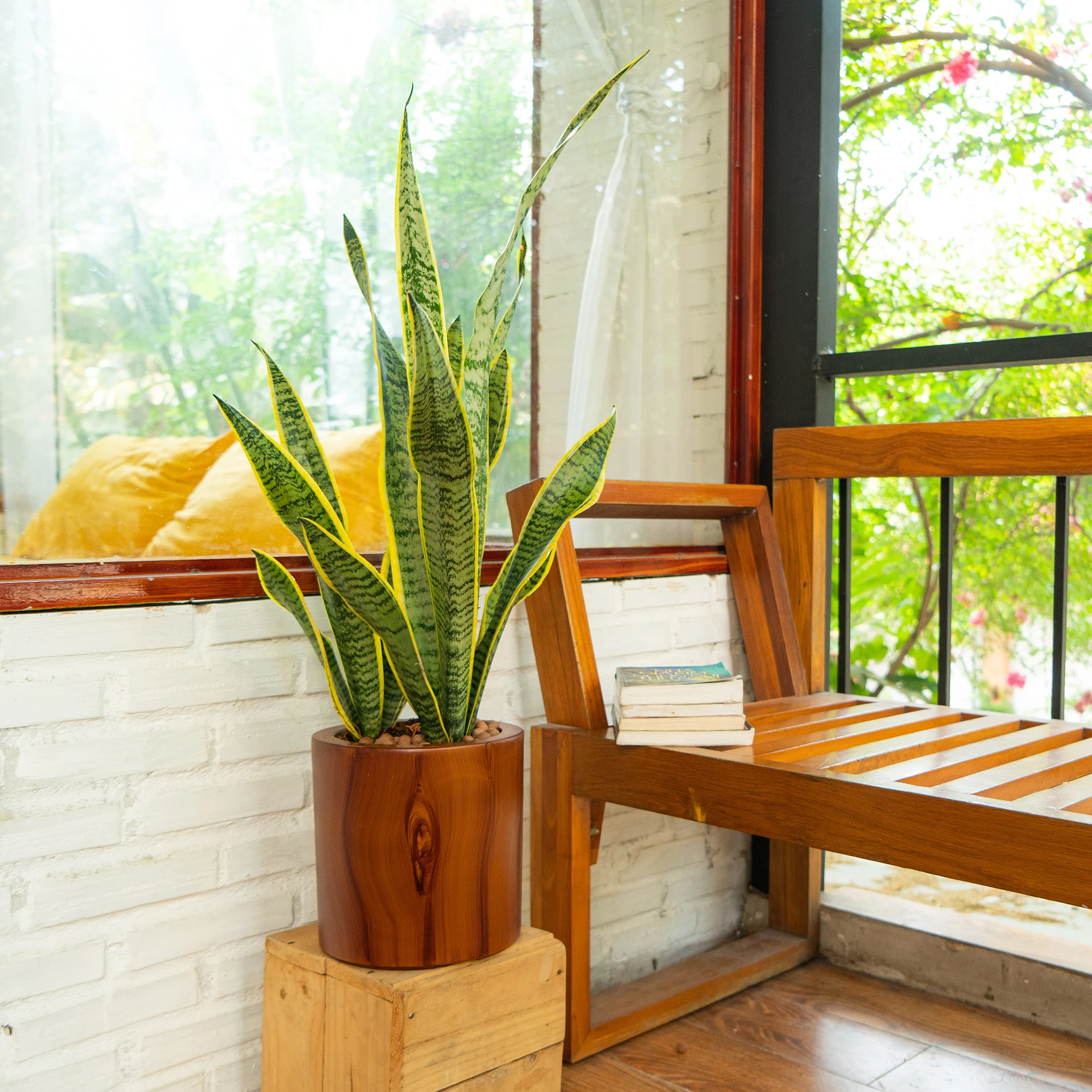 Self-Watering Planter - 7,8 polegadas Vaso de Plástico Autoirrigável