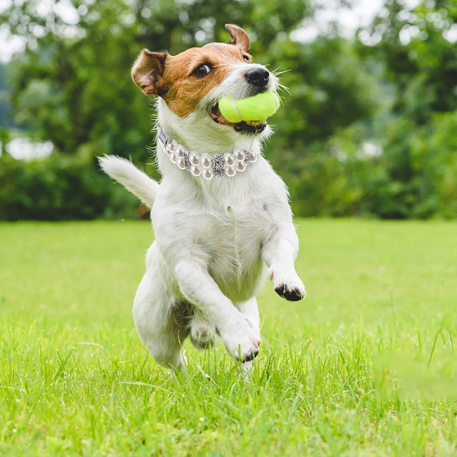 

Pet Imitation Pearls Collars Adjustable Dog Cat Collar with Leash for Everyday Wear Parties Weddings Best Look