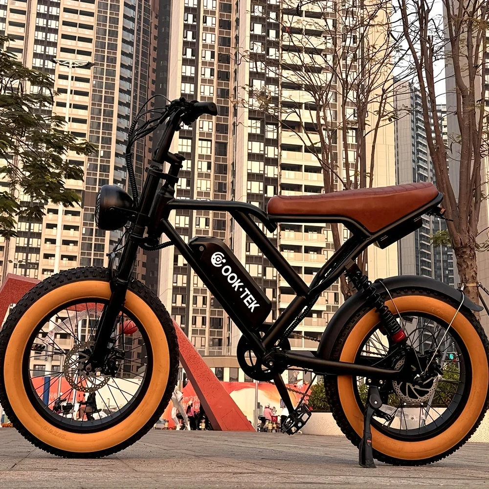 

STLF Brushless Dual-motor Electric Bicycle, 20-inch Wide Tires, Top Speed of 19 Miles Per Hour, Essential for Electric Bicycle T