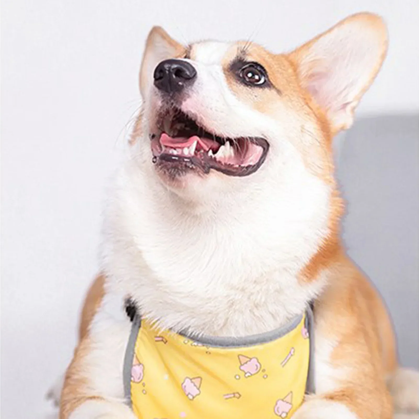 Warm Pet Belly Vest Waterproof Prevent Cold Wet Dog Belly Cover Protector Harness For Corgi Short Leg Puppy