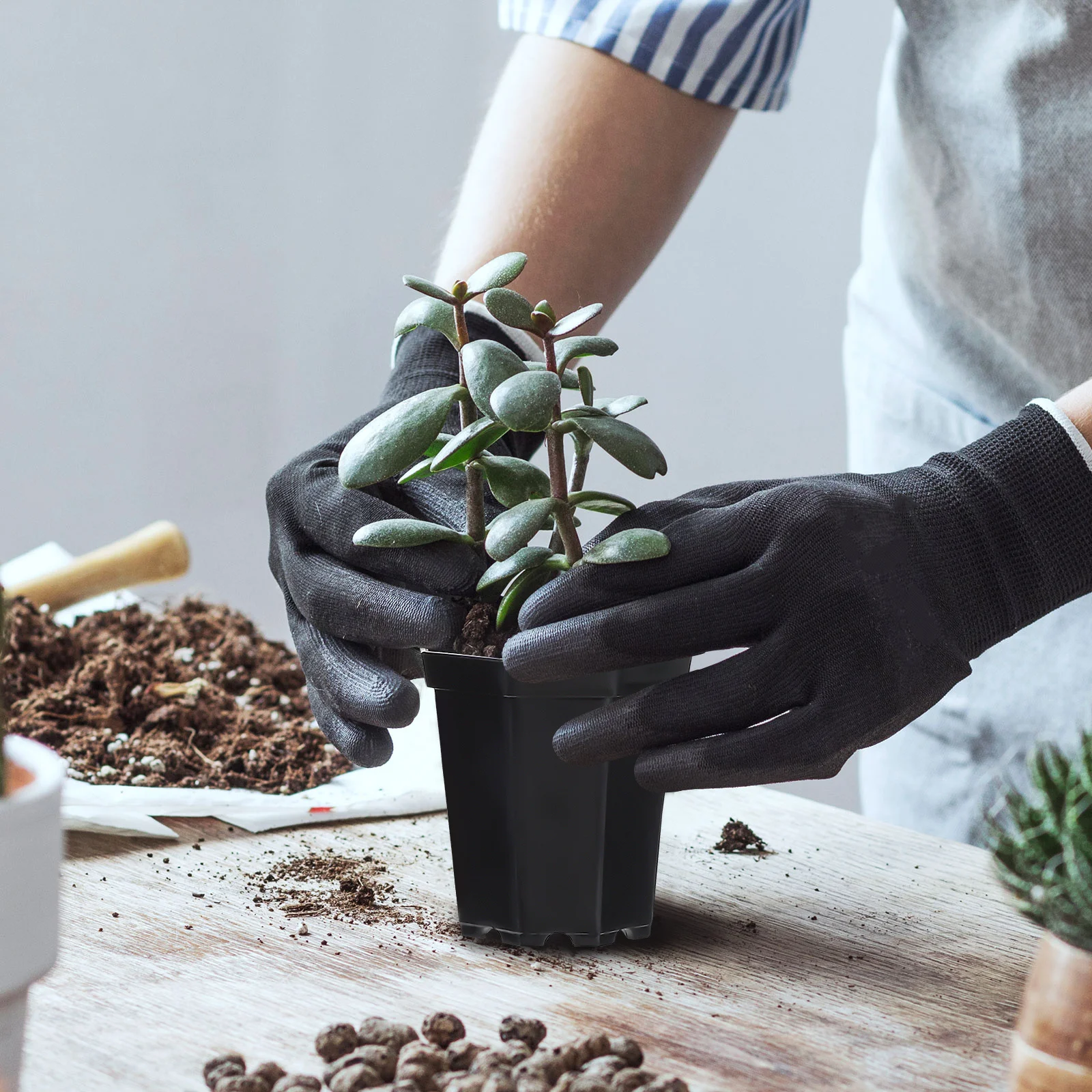 

10Set Octagonal Plastic Nursery Pots Night Black Flower Pots with Drainage Holes Saucers for Succulents Plants Indoor Outdoor