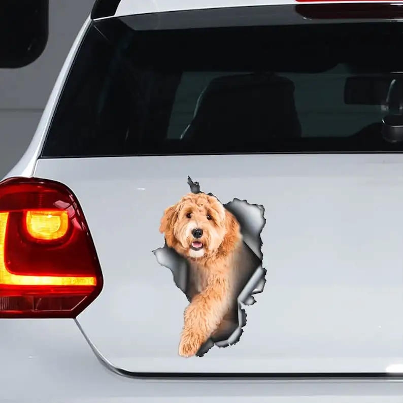 Golden Labradoodle car decal, Golden Labradoodle magnet, Labradoodle sticker