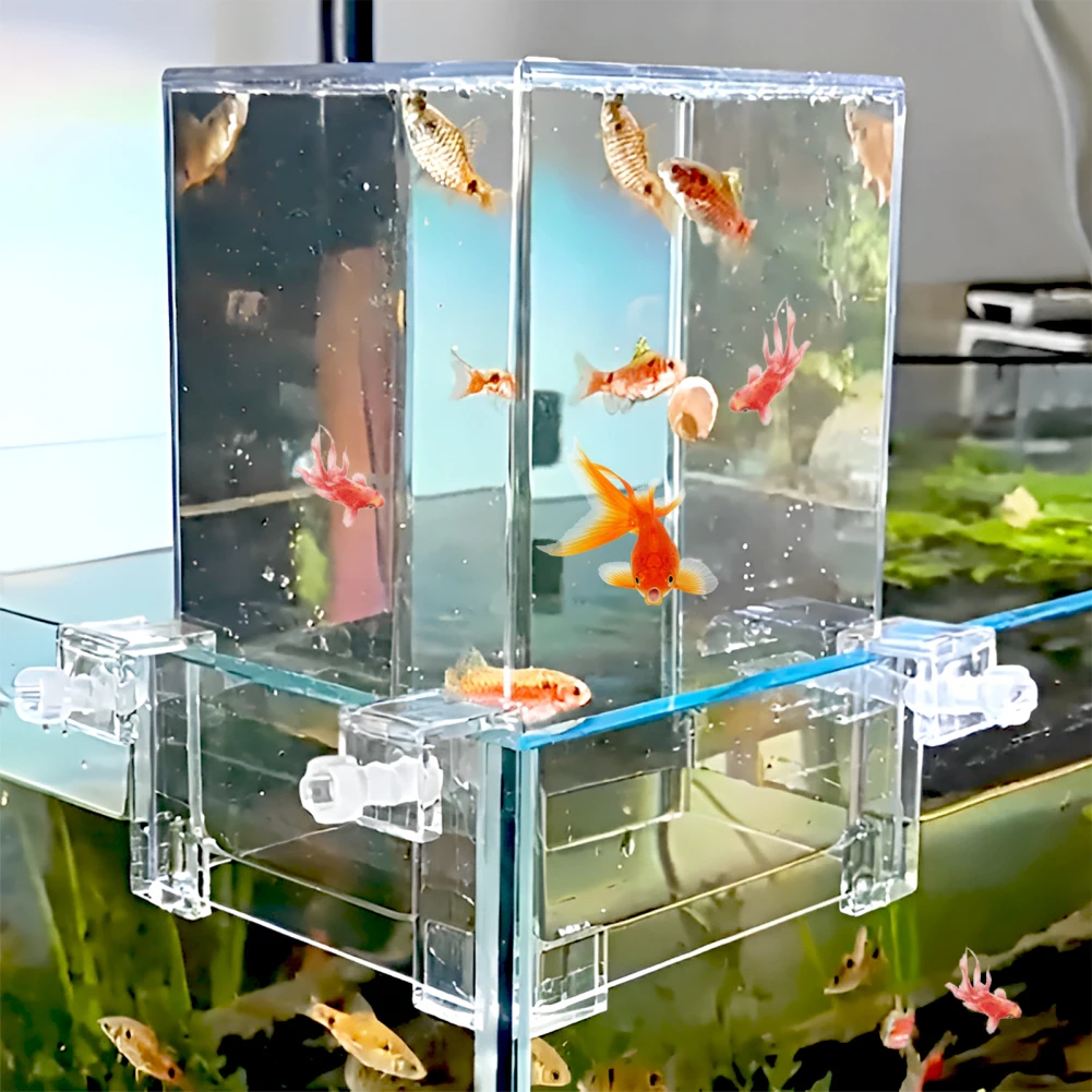 Fish Elevator Inverted Aquarium Fish Tower Fish Tank Aquarium Decorations Make Your Fish Fly Above The Water