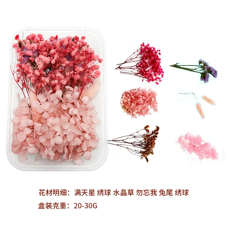 Eternal Flower DIY Flower Material Dry Flower Material Pack Floating Aromatherapy Handmade Activity Home Floral Decoration