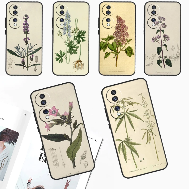 Botanical Drawings Flowers Plants Case For Honor 90 Lite 70 50 Magic 6 Pro 5 Lite X6 X7 X8 X9 X6a X7a X8a X9a X9b X8b Cover