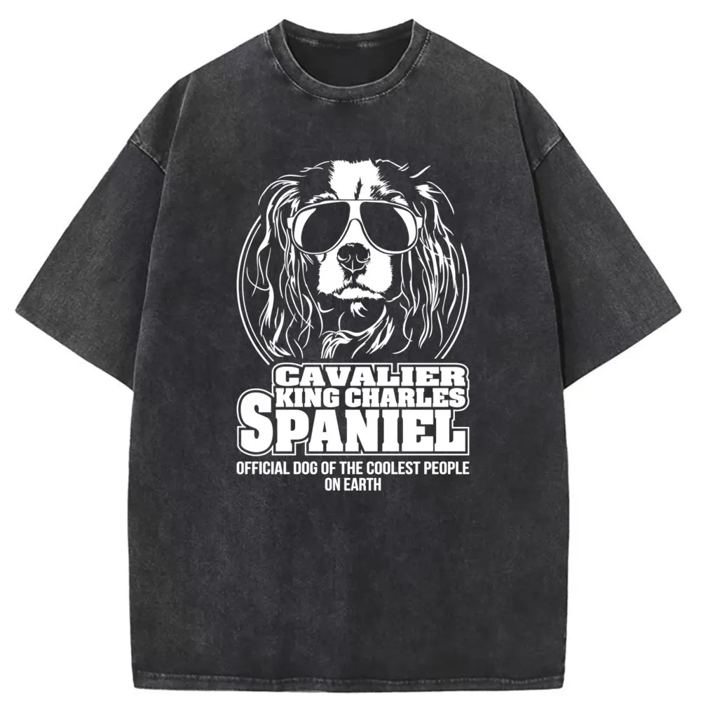 Funny Cool Cavalier King Spaniel Man Retro T-shirts New Dog Lovers Gifts Tee Shirt Beach Men Long Sleeve Sweatshirts Crazy