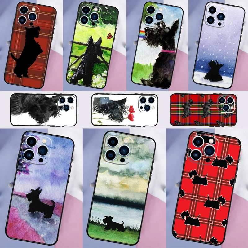 Cute Scottish Terri…