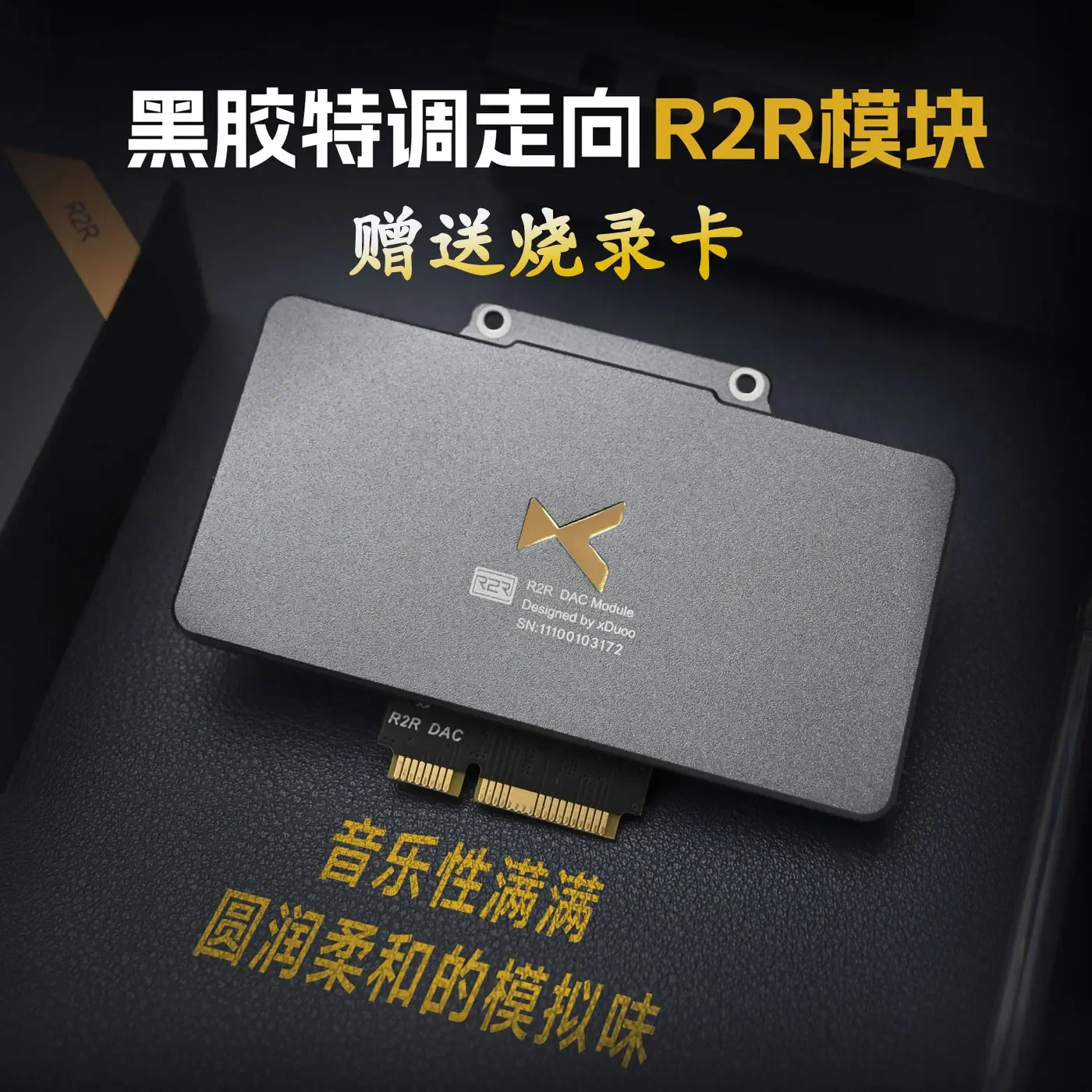 R2R DAC Module Balanced Decoding Headphone Amplifier for Xd05pro