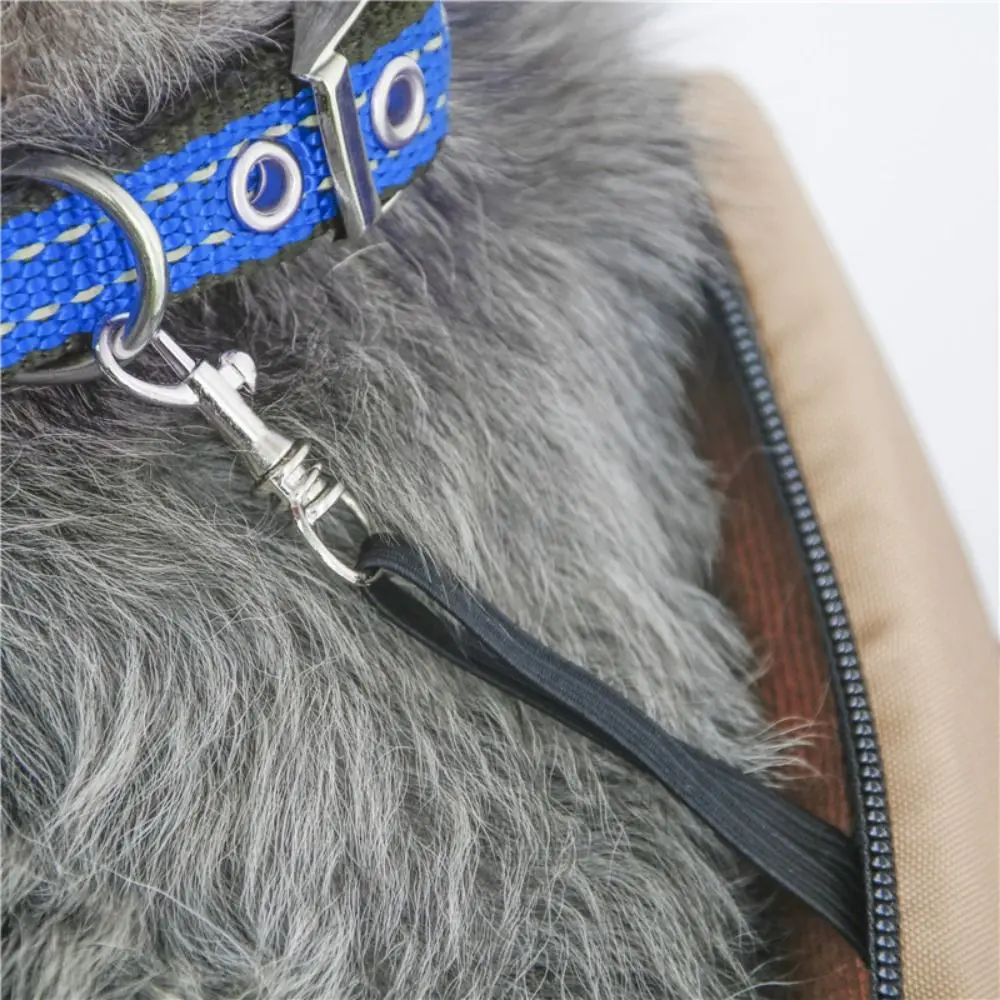 Thumbnail 3 - #75 Best Pet Carriers to Buy In 2026