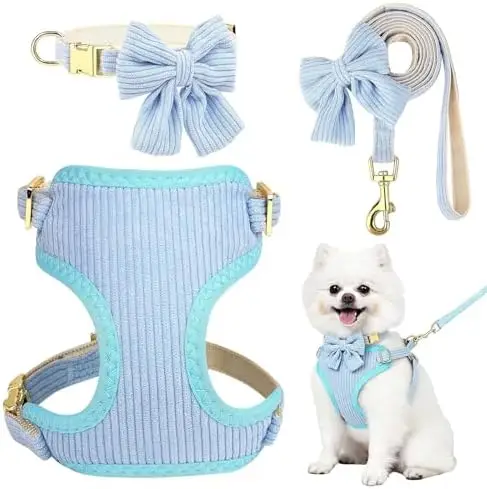 

Adjustable RoseYouth Dog Collar & Leash Set for Girls - Blue, Sizes 10-16" Neck & Chest
